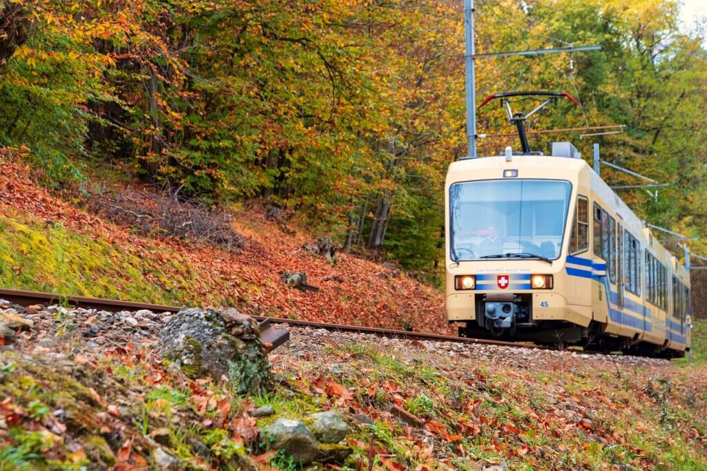 little train, vigezzo valley, foliage-7570666.jpg