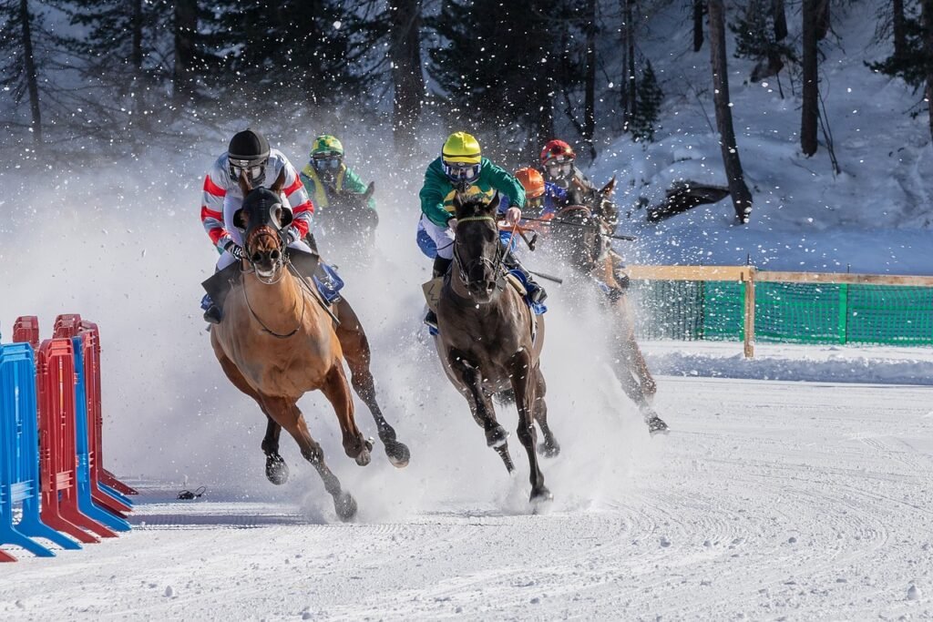 white turf, horse race, ice cream-4006095.jpg