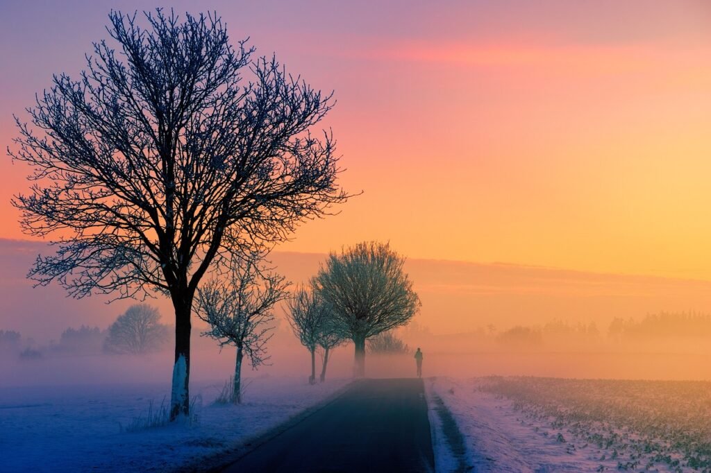 winter, fog, dawn-3197686.jpg